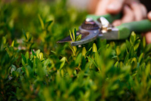 grass installation